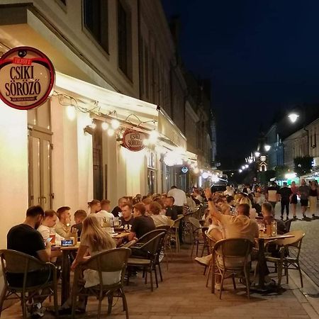 Central Designer Flat Oradea Exterior photo